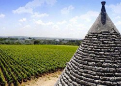 Ten Girolamo vineyard with Trullo roof. Image provided by Grape Occasions http://www.grapeoccasions.com/