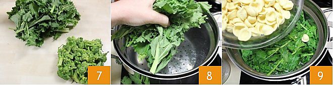 Preping the Cime di Rape 