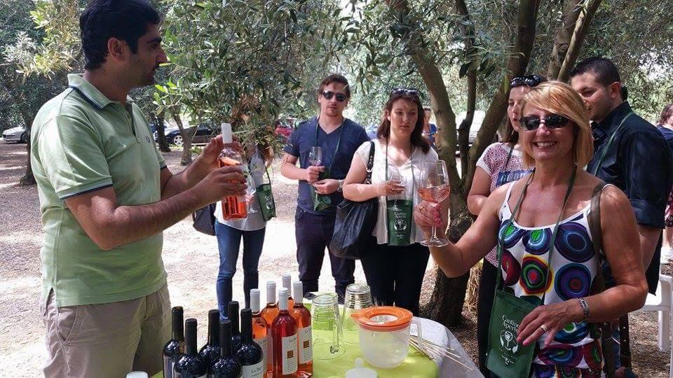 Review of Puglian Pleasures Wine Tour: By Let’s go to Puglia!