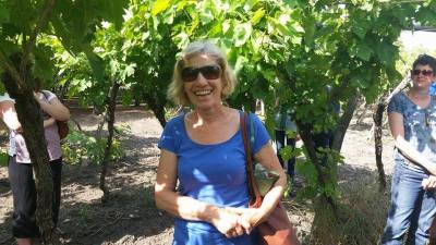 Tour of the Vineyard