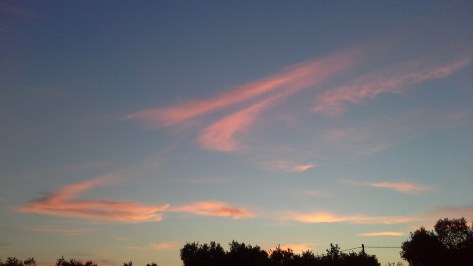 Rosè Sky