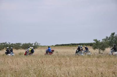 Vespas on route to La Pruina Vineyard