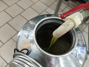 Liquid Gold, Extra Virgin Olive Oil