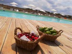 Porto Guaceto_Torre Guaceto Nature Reserve