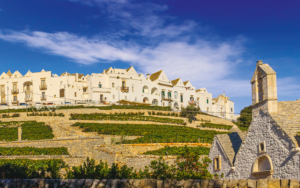 Locorotondo Puglian Pleasures