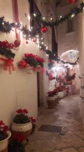 Locorotondo Christmas Puglian Pleasures