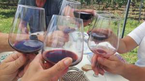 Cin cin here's to summer with new friends