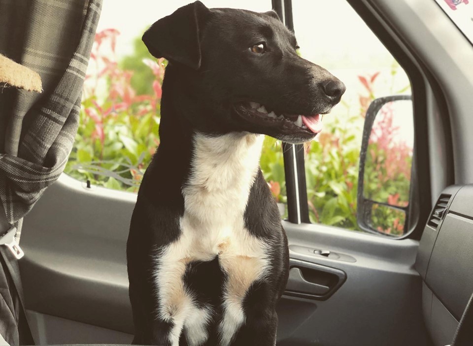 Zola getting used to travelling